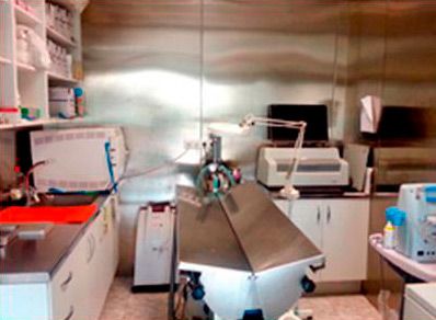 Clínica Veterinaria San Fernando imagen interna del consultorio veterinario